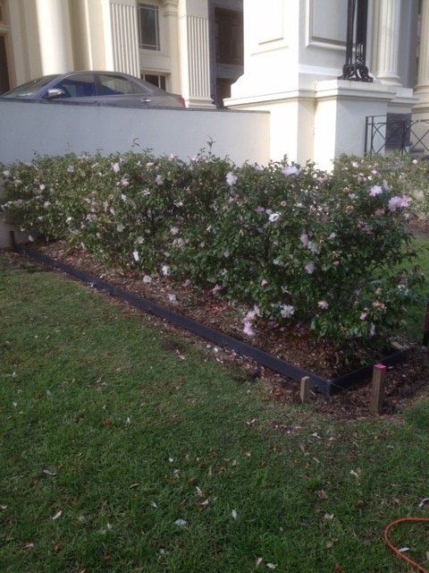 Garden Steel Edging Epping