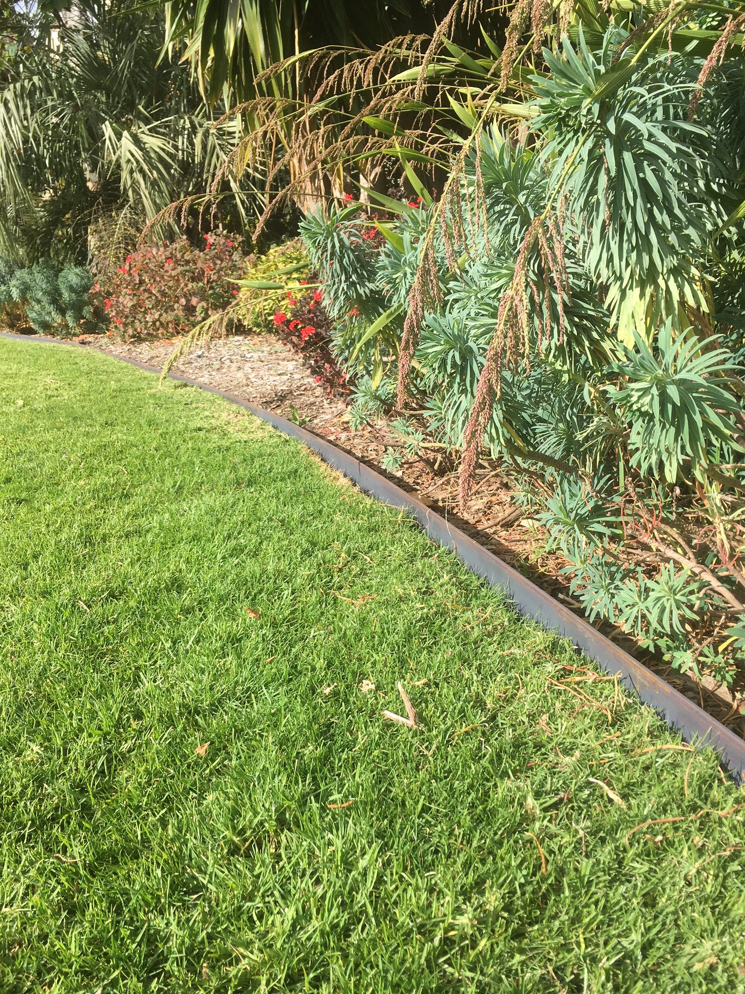 onsite-steel-garden-edging (5)